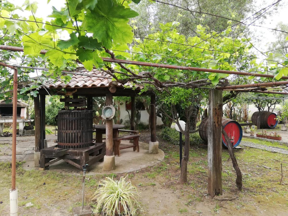 Verde&Mare Palmi Exterior foto